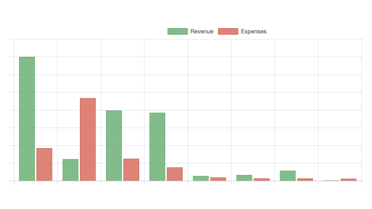 Revenue versus expenses by month, charted in the custom accounting app